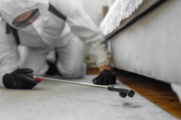 Professional Termite Control technician working in San Antonio Heights, CA