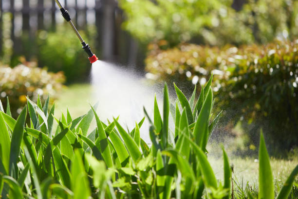 24/7 Emergency Termite Control experts in San Antonio Heights, CA