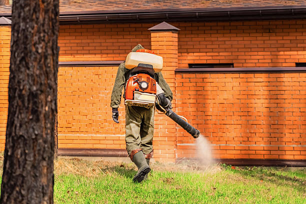 Trusted Termite Control service in San Antonio Heights, CA - Nex Pest Control